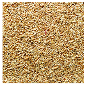 Brooks All Natural Parakeet Blend Bird Seed 50-lb