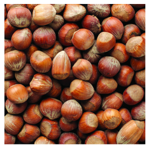 Orchard Fresh Filberts 6.25 lb. Bag