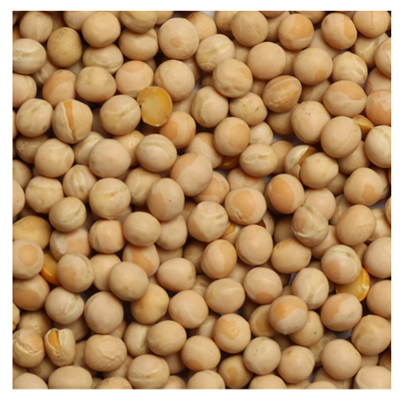 Brooks Raw Grains Canadian Peas 50-lb bag