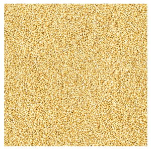 Brooks Raw Grains German Millet 25-lb Bag