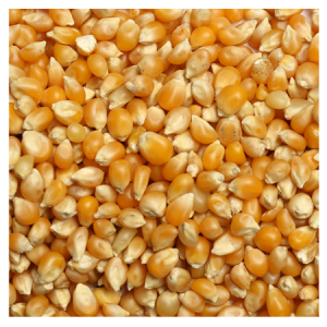 Brooks Raw Grains Popcorn 50-lb Bag