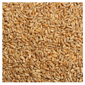 Brooks Raw Grains Wheat 50-lb Bag