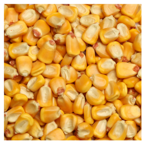 Brooks Raw Grains Whole Corn 25-lb Bag