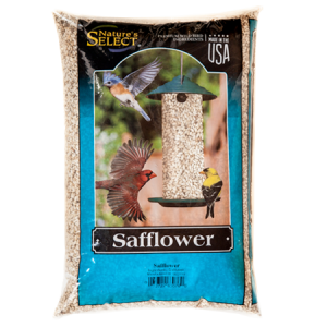 Nature's Select Safflower Wild Bird Feed 20-lb Bag