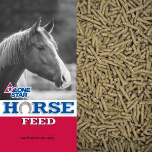 Red and grey feed bag. Brown horse. Pelleted ration for beef cattle and mature horses