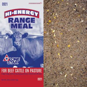 Red and blue feed bag. Brown cow. Cattle feed.