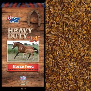 Brown feed bag. Two horses. Lone Star Heavy Duty 14 Horse Feed 1018