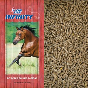 Red feed bag. Brown horse running. Pelleted horse feed. Lone Star Feed 1102