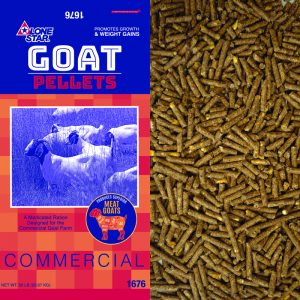 Blue and red feed bag. Herd of goats. Pelleted feed for commercial goats. Lone Star 1676