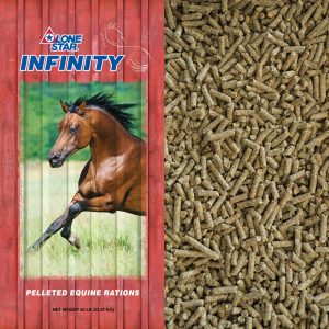 Red feed bag. Brown horse running. Pelleted feed for senior equine.
