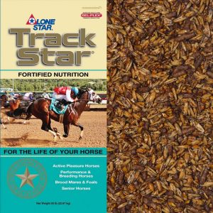 Tan and teal feed bag. Feed for race horses.