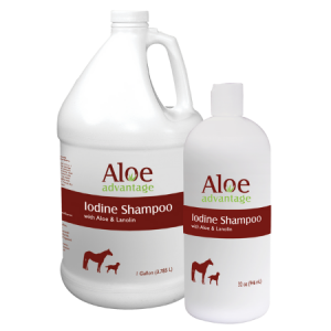 Aloe Advantage Iodine Shampoo. Gallon and 32-oz size pictured.