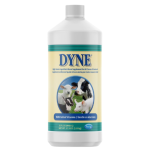 DYNE High Calorie Liquid for Livestock - 32 oz