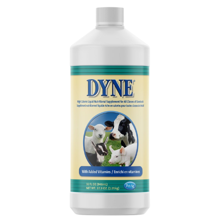 DYNE High Calorie Liquid for Livestock - 32 oz