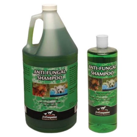 First Companion Veterinary Products Anti-Fungal Shampoo Feature Combo