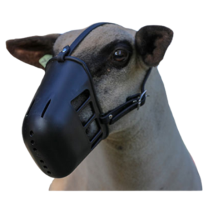 Sullivan's Heavy Plastic Sheep Muzzle