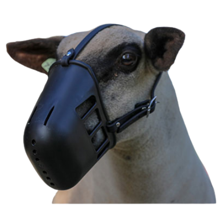 Sullivan's Heavy Plastic Sheep Muzzle