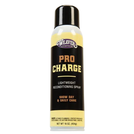 Weaver Leather Stierwalt ProCharge Reconditioning Aerosol 16-oz