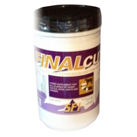 SFI Final Cut Show Supplement