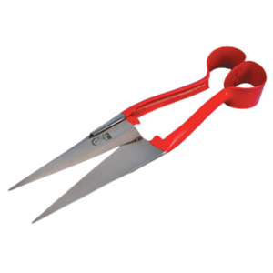 Sullivan's Sheep Shears 6.5" Regular