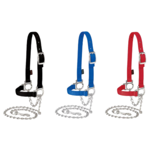 Weaver Nylon Adjustable Sheep Halter with Chain Lead Color Options
