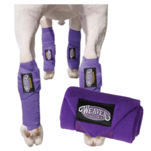 Weaver Livestock Sheep and Goat Leg Wraps, Purple Feature