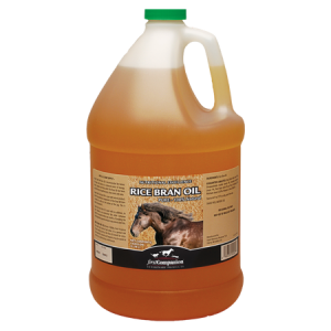 First Companion Rice Bran Oil. One gallon jug.