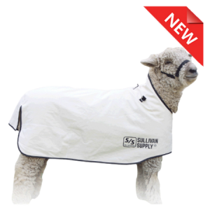 Sullivans Canvas Sheep Blanket