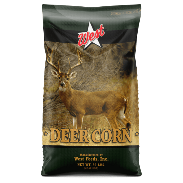 West Feeds Deer Corn