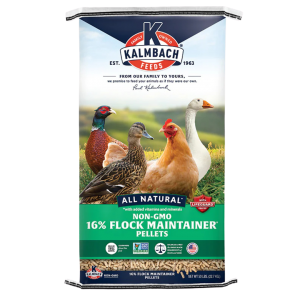 Kalmbach 16% Flock Maintainer Non-GMO Pellet 50-lb