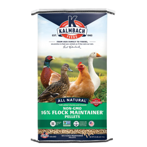 Kalmbach All Natural 16% Flock Maintainer® Non-GMO Pellet 50-lb bag