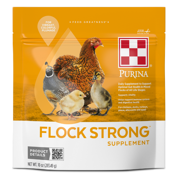 Purina Flock Strong Supplement 10-oz