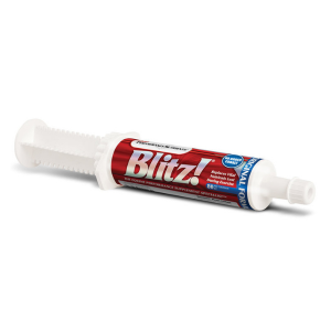 Blitz! Paste