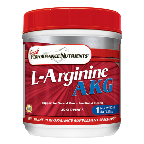 L-Arginine AKG for performance horses.