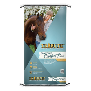 Tribute Constant Comfort Horse Feed 40-lb