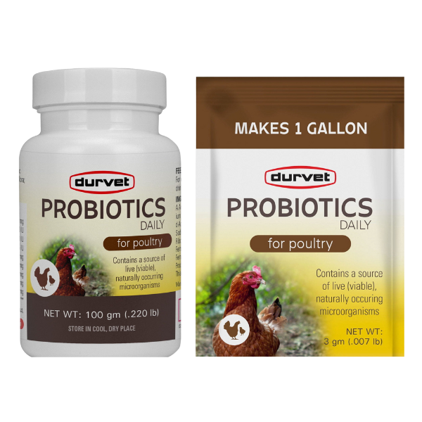 Durvet Probiotics Daily for Poultry