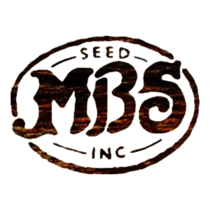 MBS Seed Logo