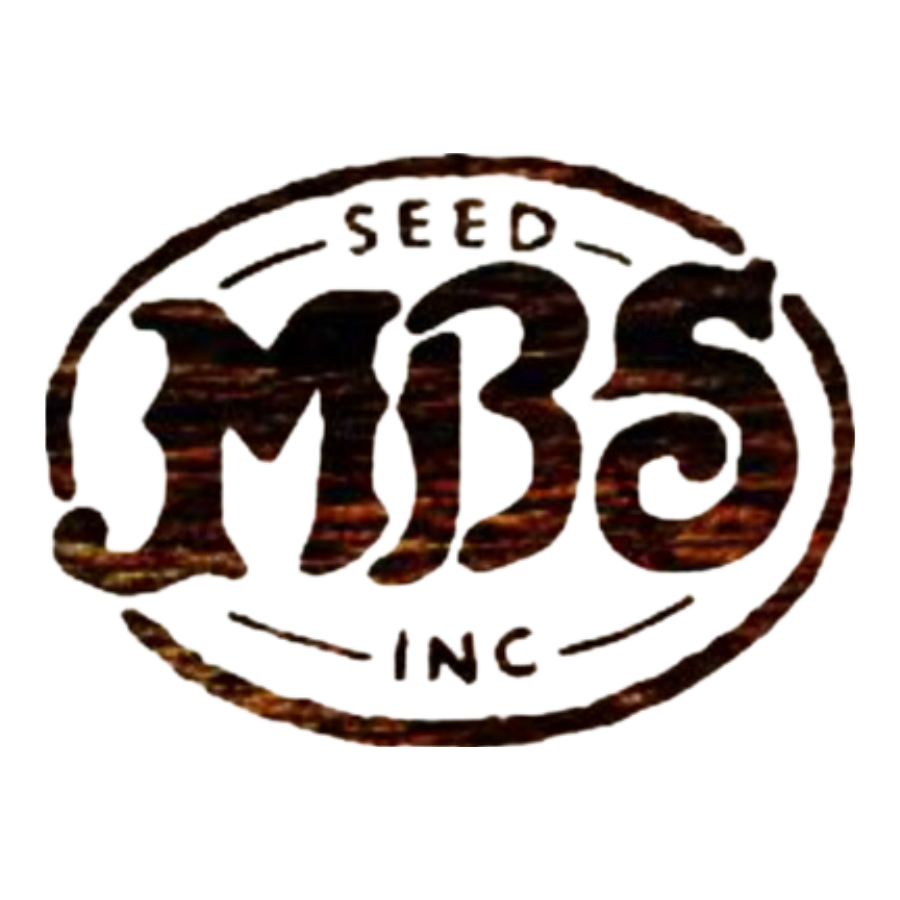 MBS Seed Logo