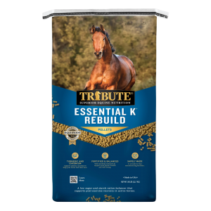 Essential K Rebuild Ration Balancer with Turmeric and Chromium