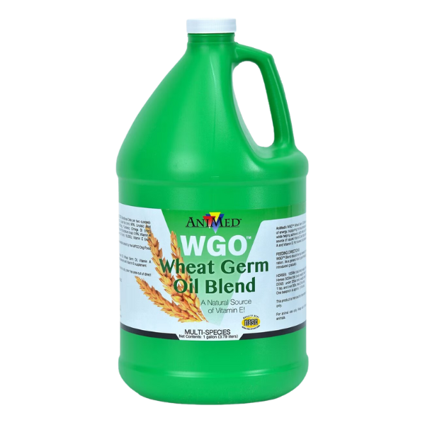 Animed Wheat Germ Oil Gallon