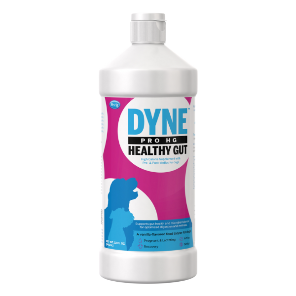 PetAg Dyne PRO HG Healthy Gut for Dogs 32-oz