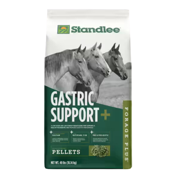 Standlee Forage Plus Gastric Support