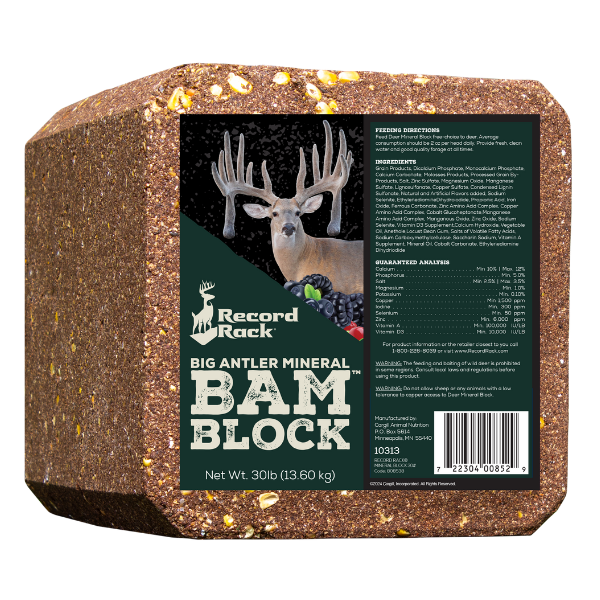 Record Rack BAM™ Block. Compressed 30-lb block