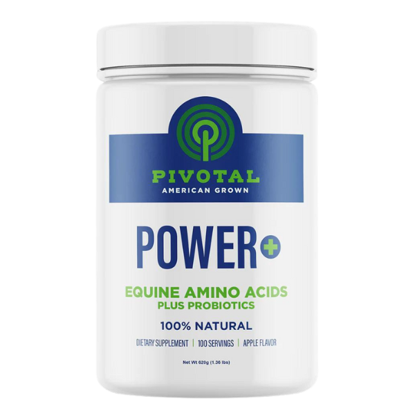 POWER+ Equine Amino Acid Plus Probiotics. White container