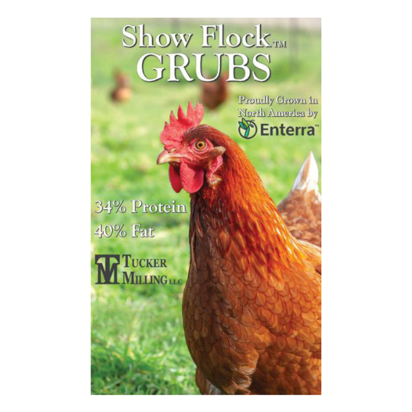 Show Flock Grubs