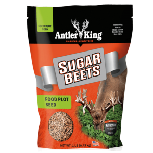 Antler King Sugar Beets Food Plot Seed 1-lb