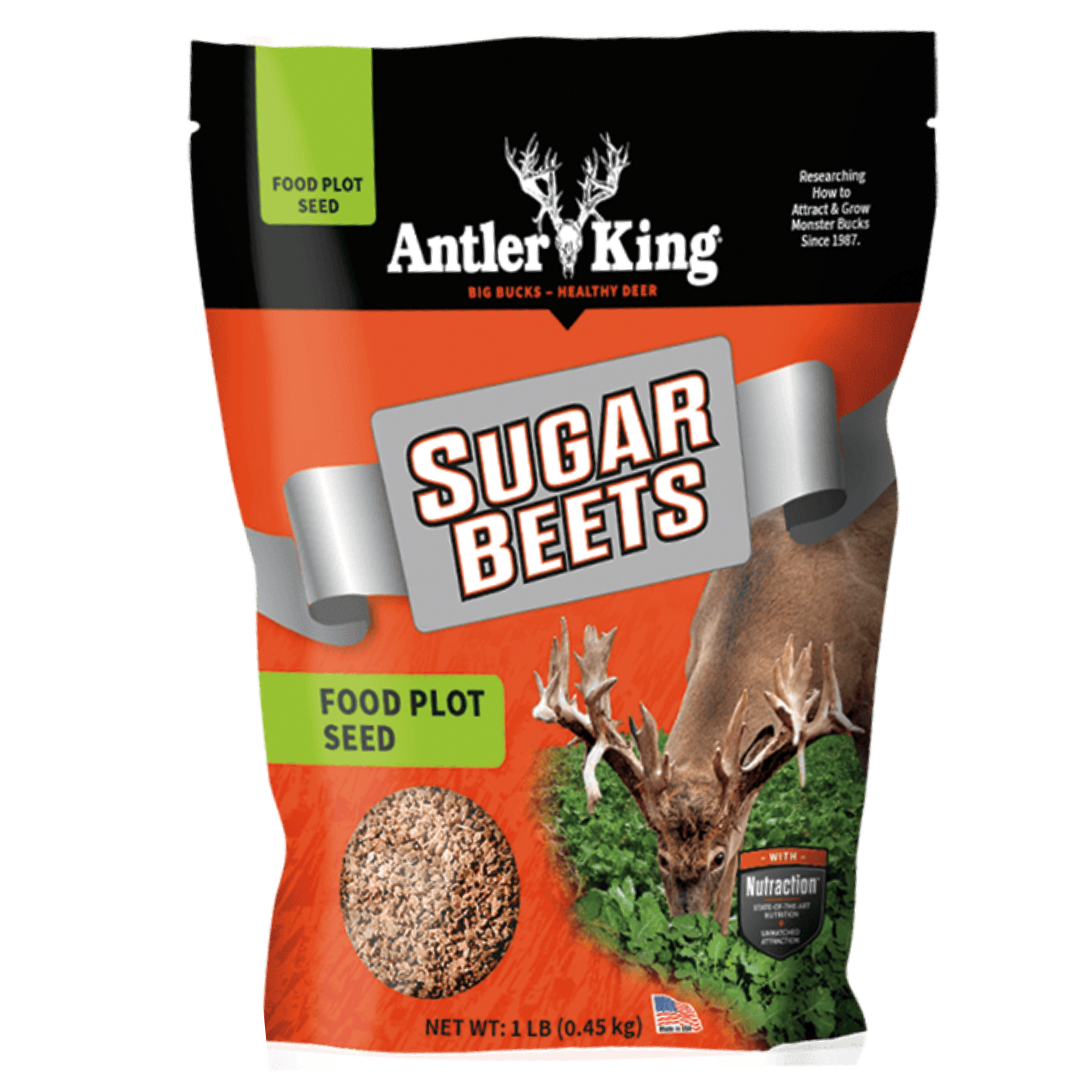 Antler King Sugar Beets Food Plot Seed 1-lb