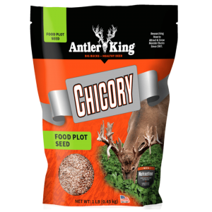 Antler King Chicory Food Plot Seed 1-lb