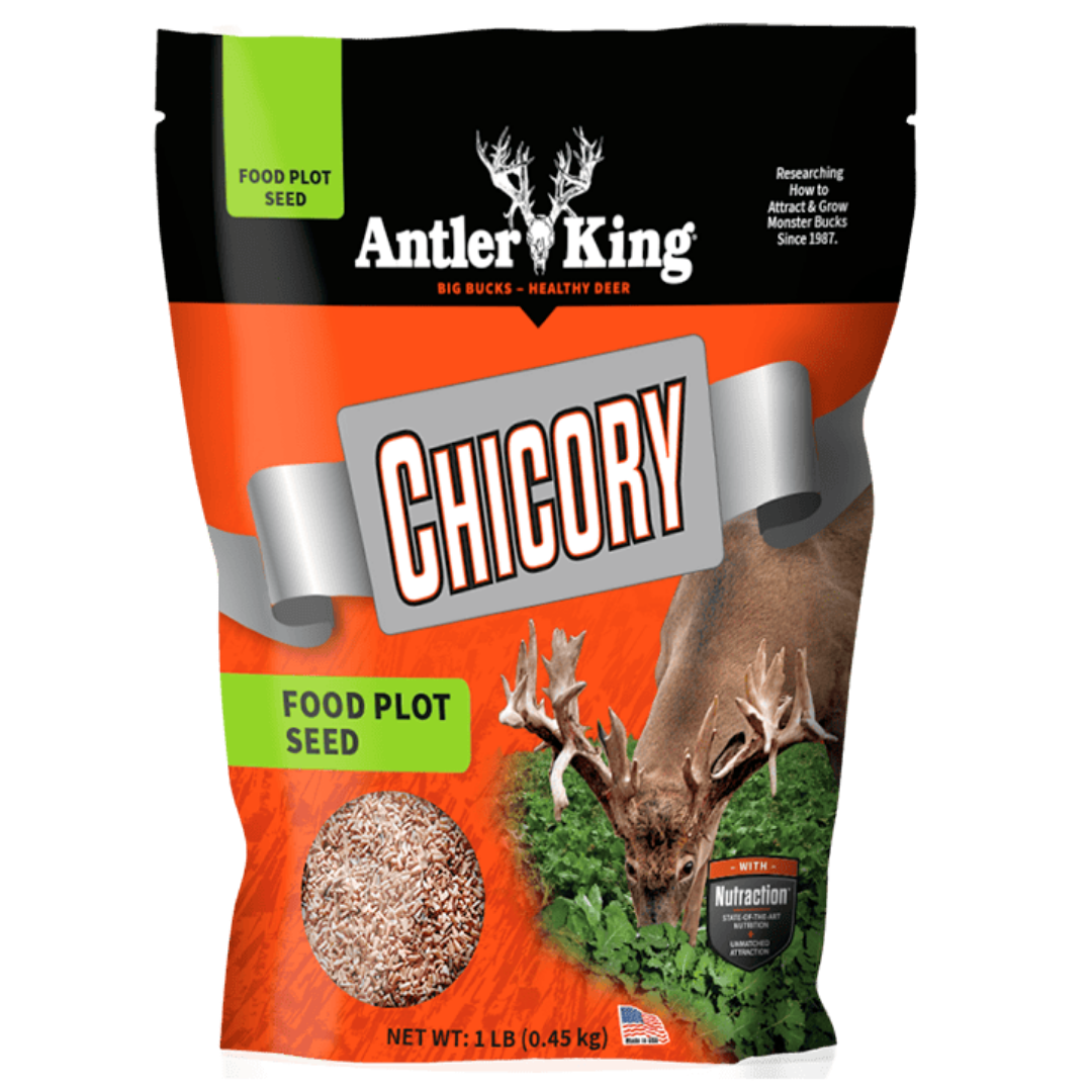 Antler King Chicory Food Plot Seed 1-lb