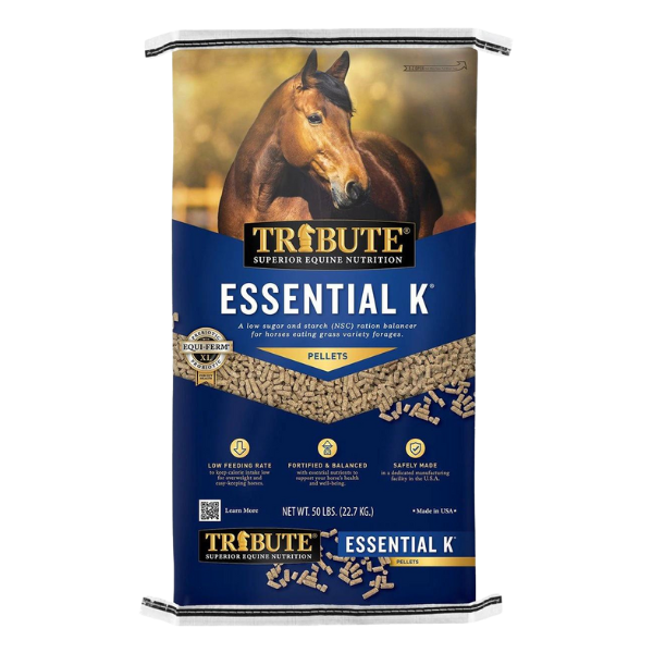 Tribute Essential K